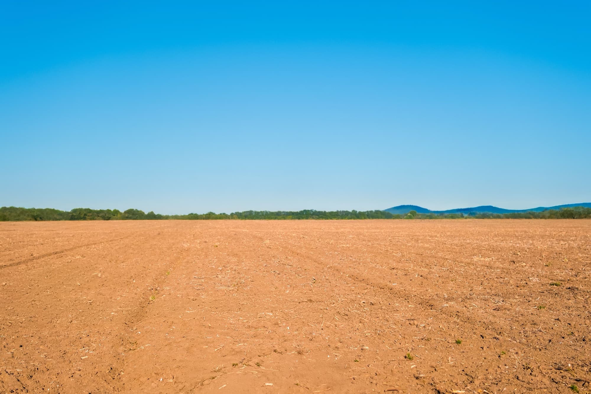 Open land ready for development